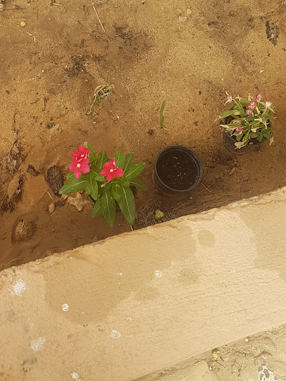 حديقة حي الديرة - Saudi Arabia|Al Duwadimi 17441|3193|7049