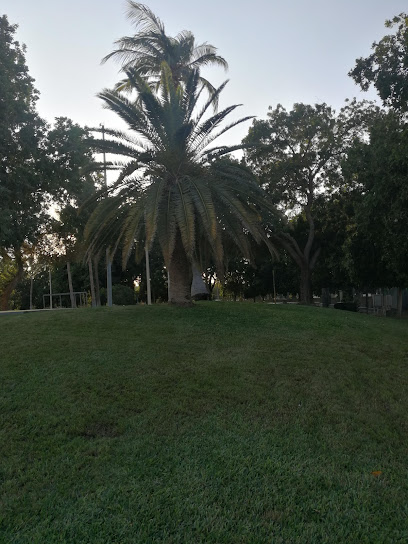 حديقة السميري العامة - Saudi Arabia|Yanbu 46455|Al-Semairi|2677+5PG