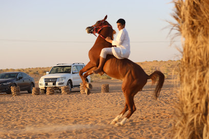 مربط فرسان البكيرية - البكيرية - +966 55 938 6563