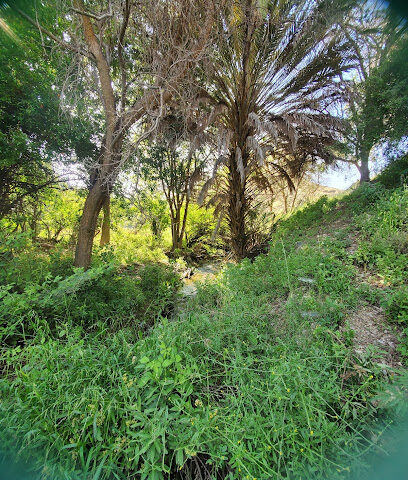 حدائق غابات الحمدة - الباحة -