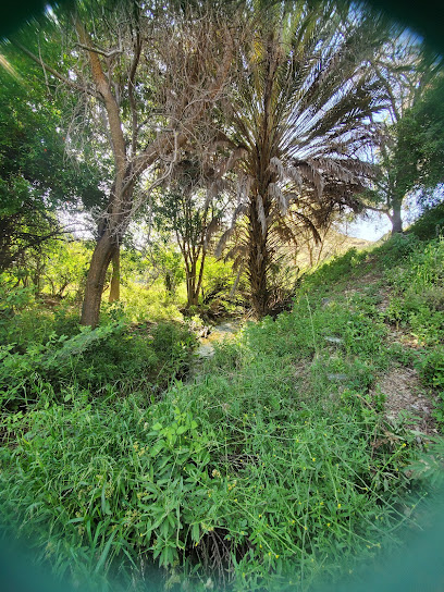 حدائق غابات الحمدة - Al Bahah 65711