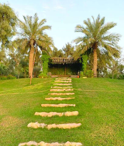 مزرعة / فهد بن رشدان - الارطاوية - +966 55 994 4342