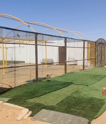 عشب كرة القدم - ينبع - +966 54 424 6793