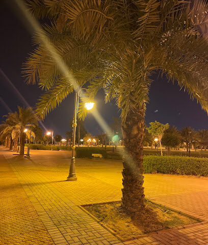 حديقة - تبوك -