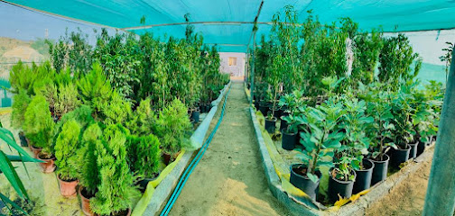 مشتل الريف - الباحة - +966 53 253 8852