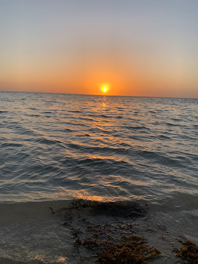 حديقة الشاطئ - Saudi Arabia|Yanbu 46513،|2929 طريق الامير عبدالمجيد بن عبدالعزيز، 6238، الشاطئ،