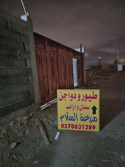 مزرعة السلام لبيع الدجاج والطيور - Saudi Arabia|Bisha 67716|Al Nakhil|الموطي بعد استراحة النخيل 60متر
