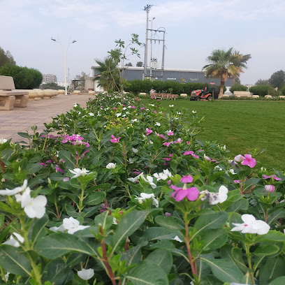حديقه عامة - ابو عريش - +966 50 578 9106