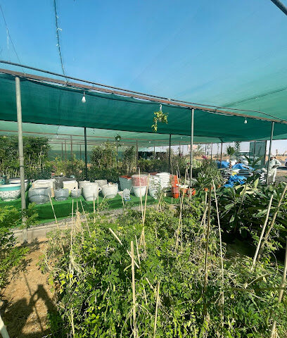 مشتل حدائق الابلق - تبوك - +966 55 793 9666