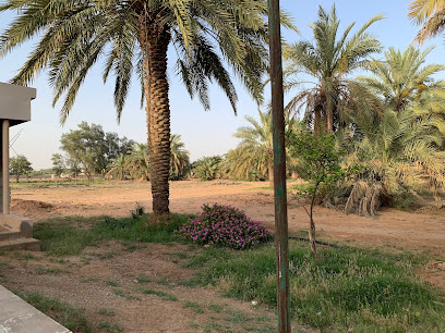 مزرعة المهندس محمد الهويريني ENGR MOHAMMED ALHWEIRINY FARM - البكيرية -