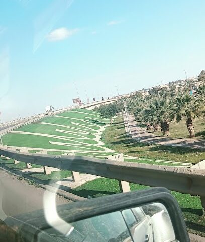 عرعر - عرعر -