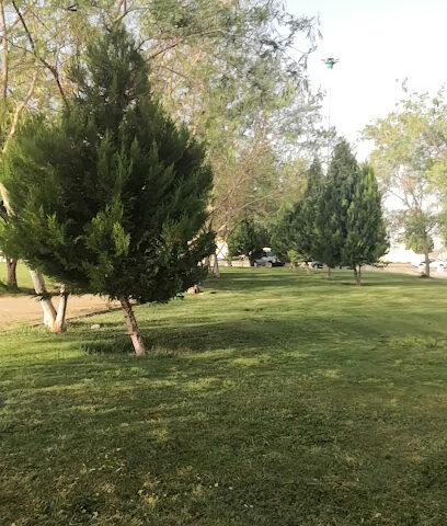 حديقه - تبوك -