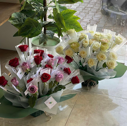 فيان للورد - عرعر - +966 50 989 6602