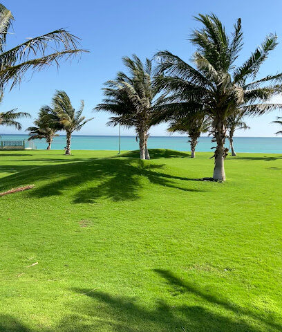 شاطئ   الساحر - ينبع -