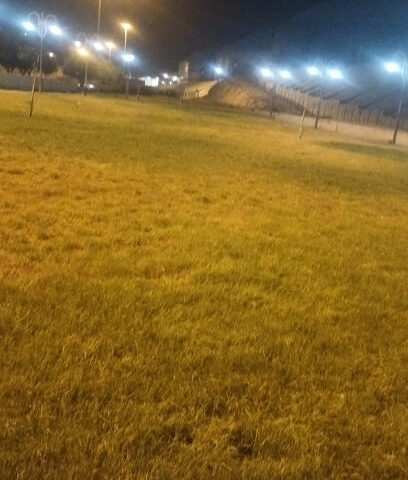 الحديقة السرية - الطائف -