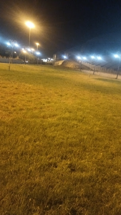 الحديقة السرية - Saudi Arabia|Taif 26713|Masarah2|79XH+XF