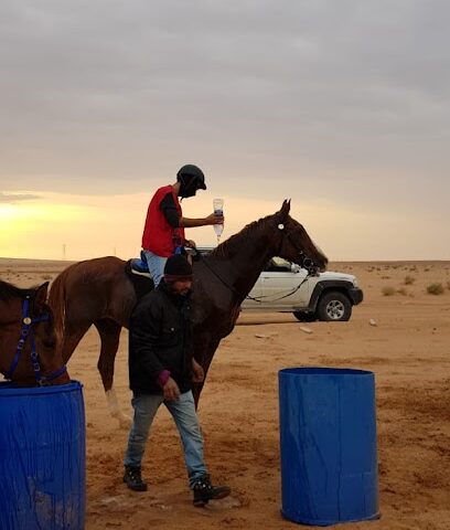 ميدان الفروسية - الرياض -