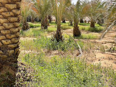 حيالة نايف بن مزيد الدويش - الارطاوية - +966 50 666 6966