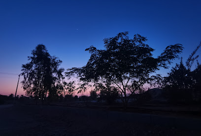 المحمدية - الرس -