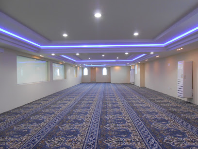 السريع للأرضيات والمفروشات - جدة - +966 12 661 2456
