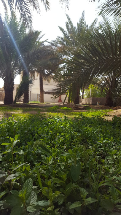 مزرعة الرشاش - Saudi Arabia|Al Artawiyah 15738|G86Q+PG3