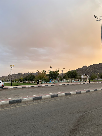 حديقة ابارشاش الجديده - Najran 66253