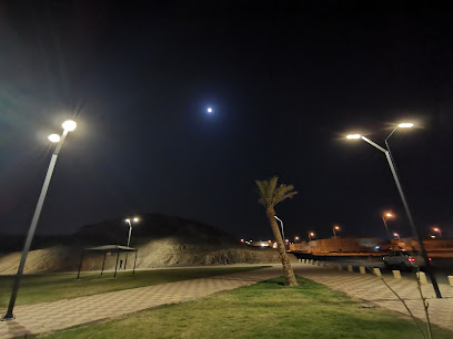 حديقة جنوب المدينة - بيشة -