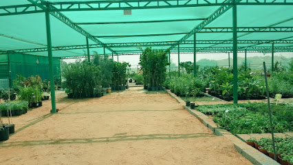 مشتل بلدية ينبع البحر - ينبع - +966 14 322 7444