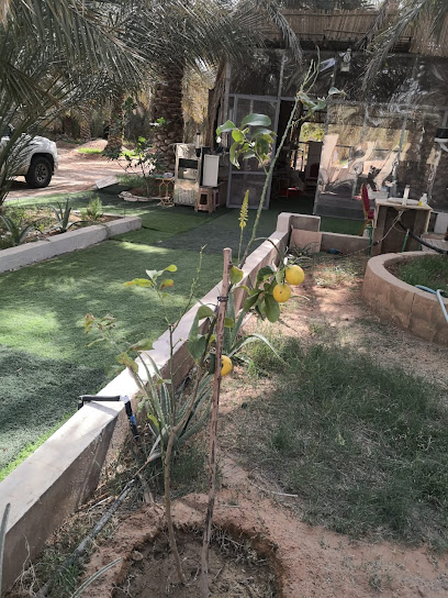 استراحة أبو شايع - Saudi Arabia|Az Zulfi 15933|5567