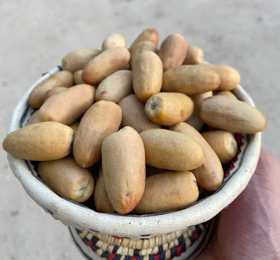 تمور نجران مزرعة محمد الديك - نجران - +966 50 679 2446