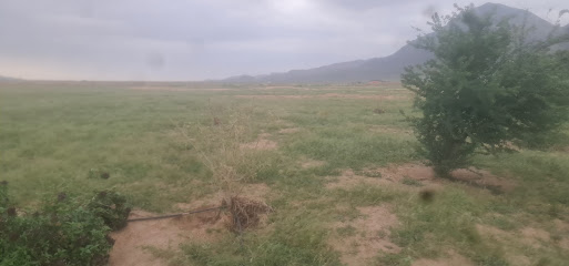 مزارع الموسم - الجموم -