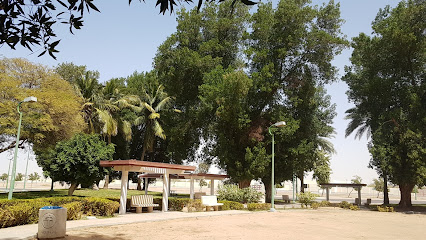 حديقة البدر - ينبع -