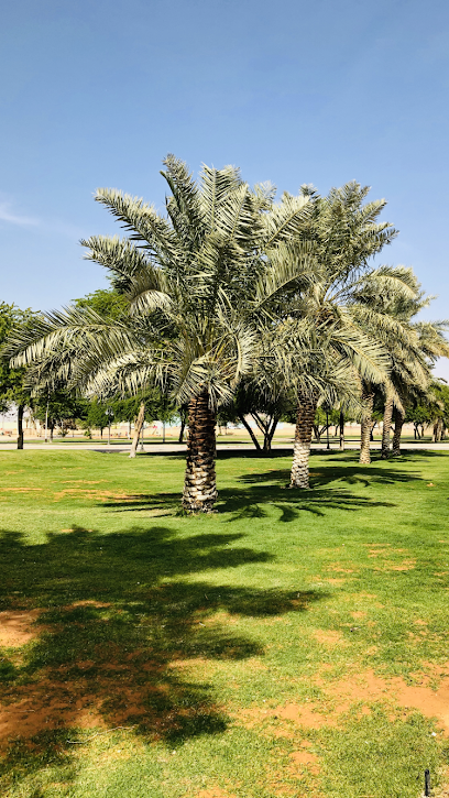 الضاحي - Saudi Arabia|Ad Dilam 16227|Al Sahnah|X5RJ+X45