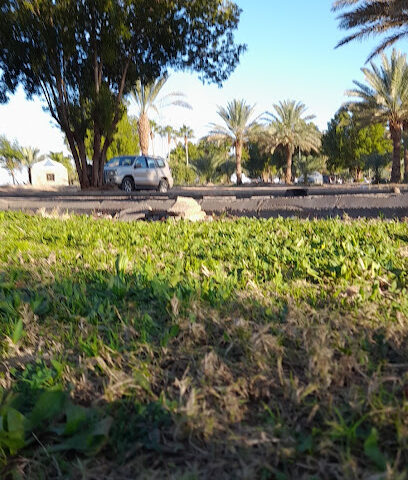 الشرفة النقية - تبوك - +966 59 550 1919