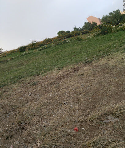 حديقة الفقهاء - جازان -