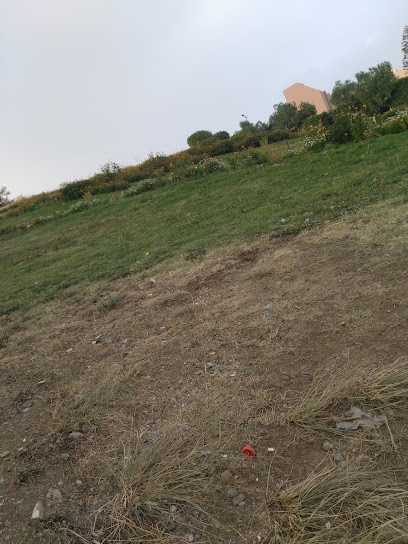 حديقة الفقهاء - Saudi Arabia|Jazan 82774|7907|2921