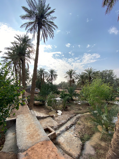 مزرعة متعب عبدالرحمن الجبلي - Saudi Arabia|Al Artawiyah 10922|G84Q+24C