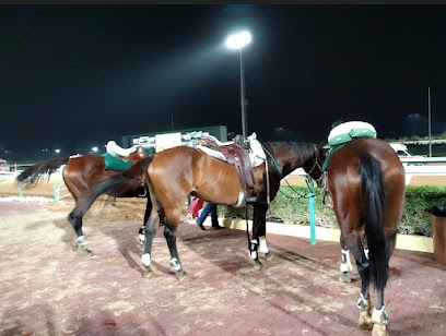 نادي الفروسية - الرياض - +966 55 772 2564