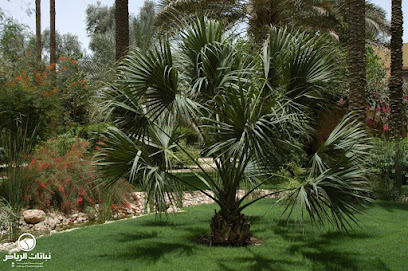 مؤسسة رايات نجد للمقاولات - الخرج - +966 55 330 8786