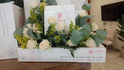 شبكة LTEEN - سكاكا -