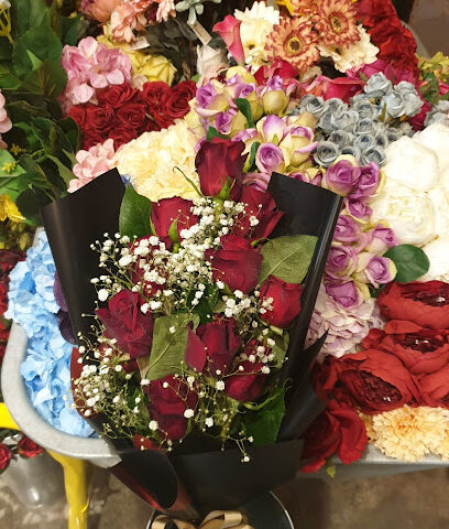 منطقة الحزب - الدمام - +966 50 624 3111