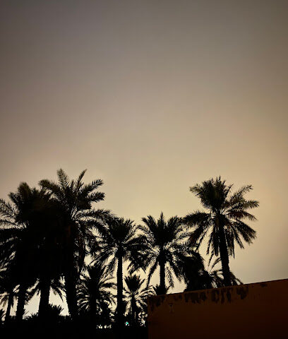 مزرعة الحميدان - البكيرية -
