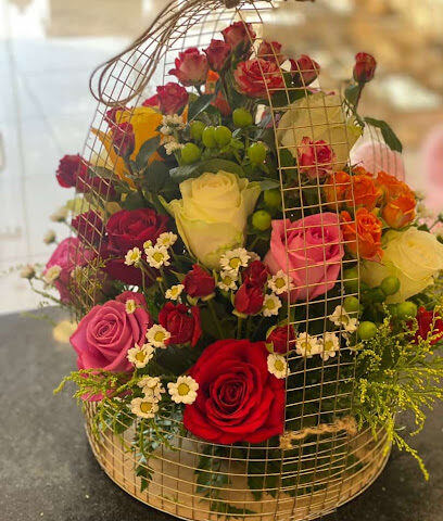 همسة ورد - نجران - +966 50 309 3707
