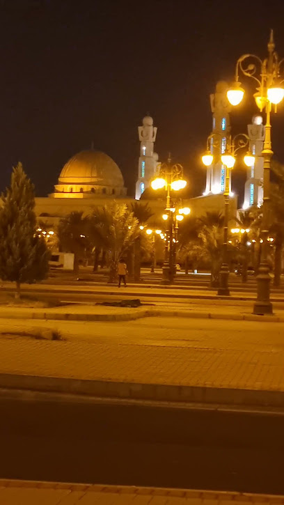 حديقة الوالدين - Saudi Arabia|Tabuk 47322|Cultivated Area|CHQ7+RC