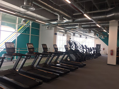 PureGym Woman الرياض الحمرا - الرياض - +966 11 590 2648