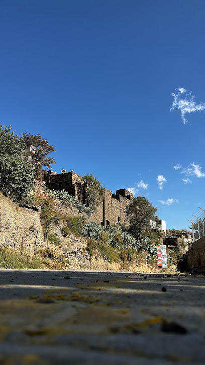 مزرعة العكاسضار المنوع - Abha 62533