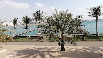 نادي الفروسية - جدة - +966 55 600 1728