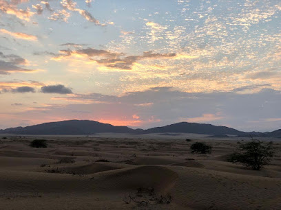 البلاد - جدة -