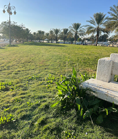 حديقة النافورة - تبوك -