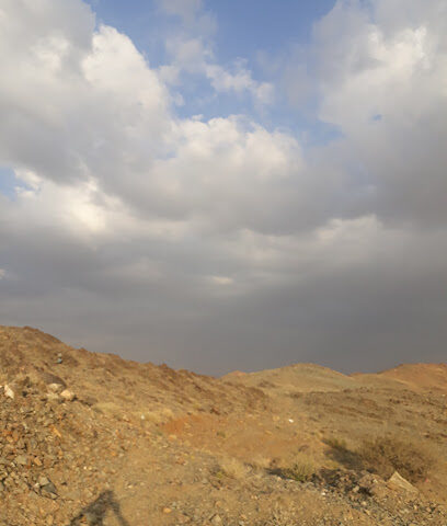 حديقة - الطائف -